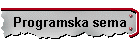 Programska sema