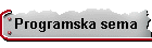 Programska sema
